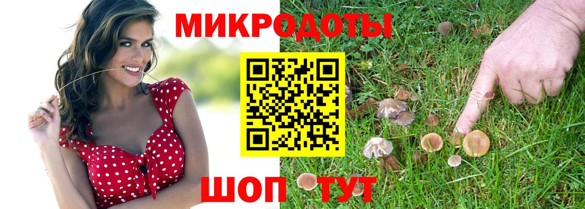 Миллерово  Галлюциногенные грибы Psilocybine cubensis  Вход с VPN  Галлюциногенные грибы Psilocybine cubensis 